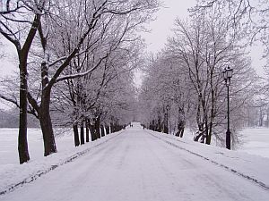 Winter scenery in Nyazvizh